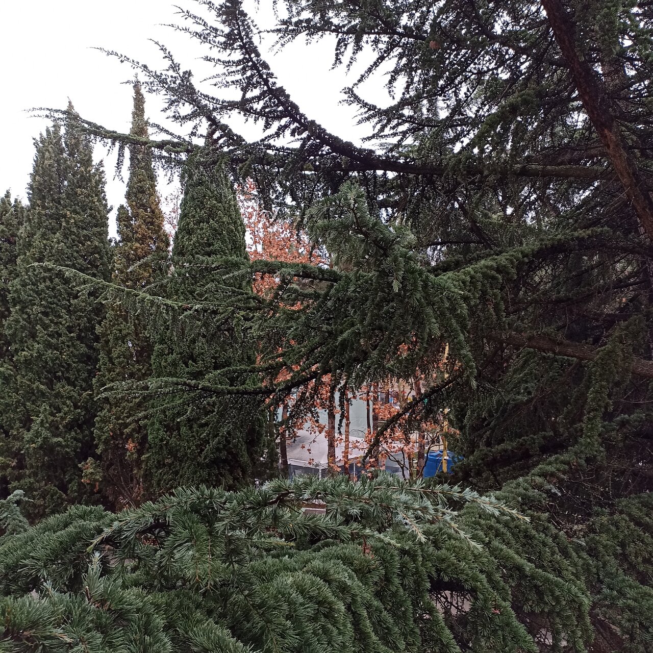 Санаторий Славутич Алушта-183