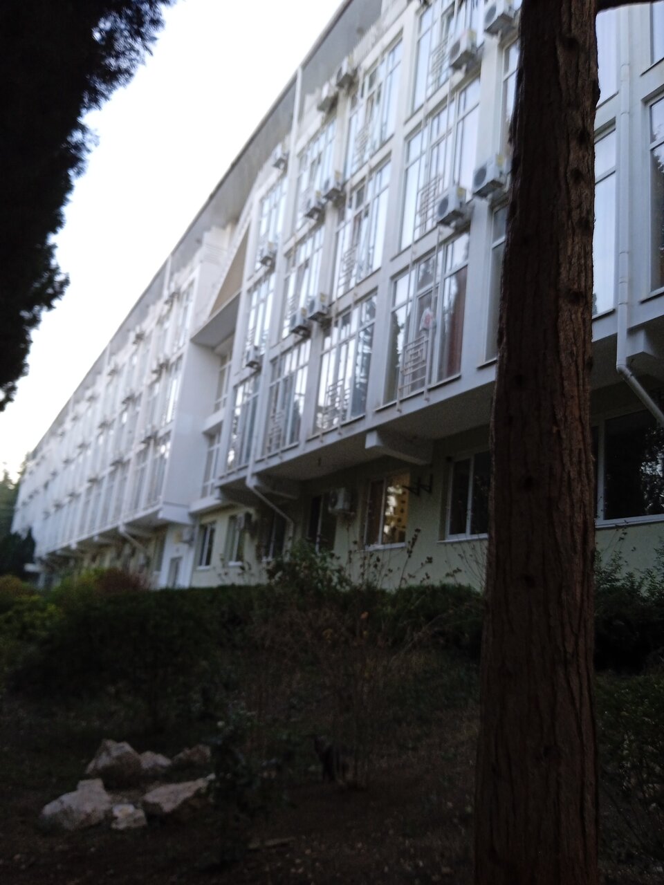 Санаторий Славутич Алушта-134