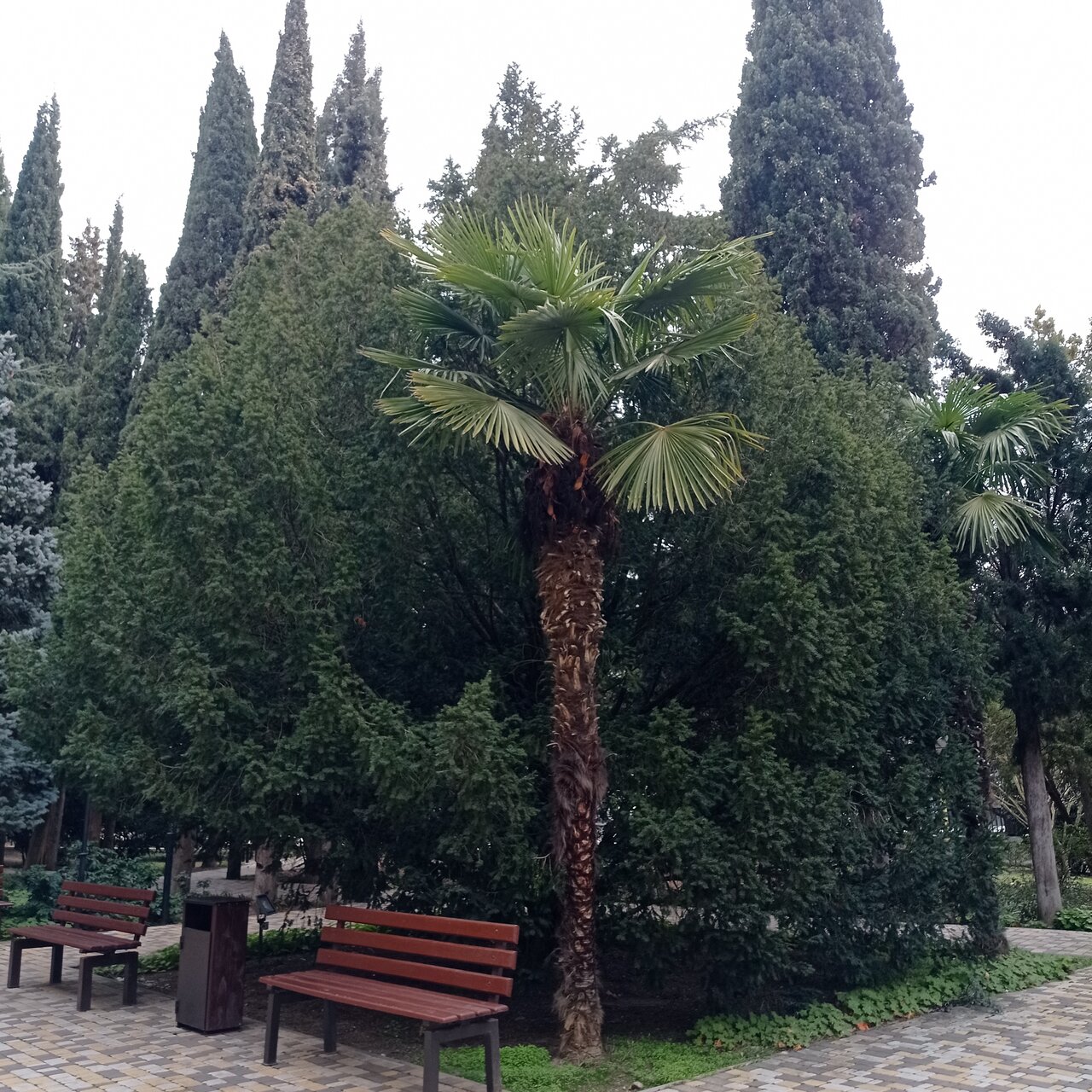 Санаторий Славутич Алушта-155