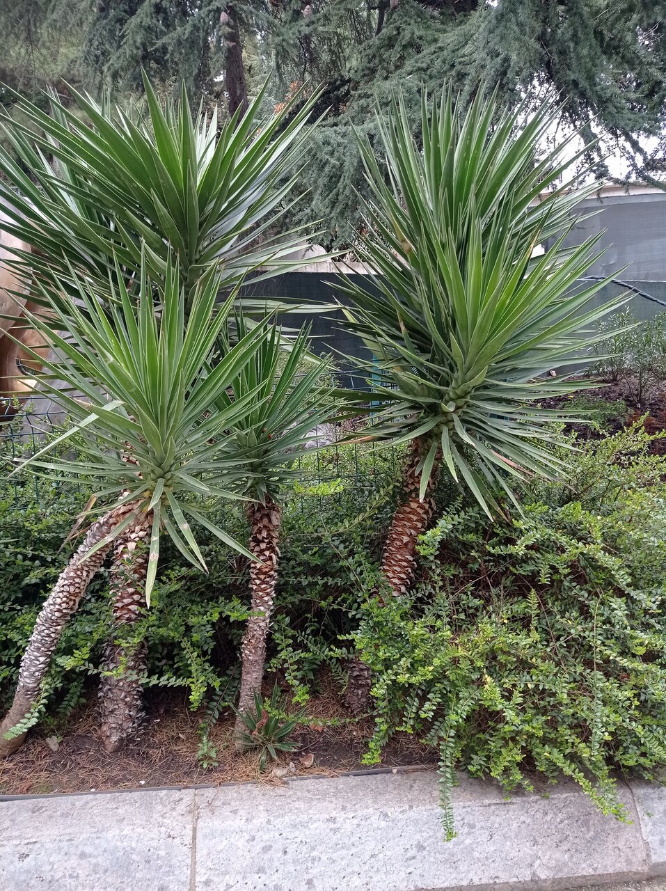 Санаторий Славутич Алушта-170