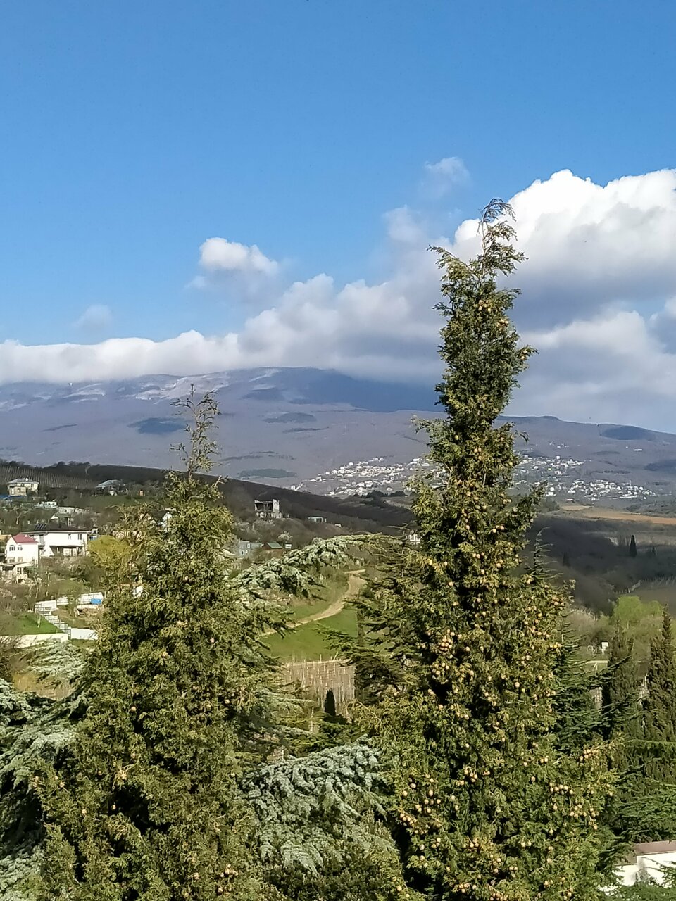 Санаторий Славутич Алушта-201