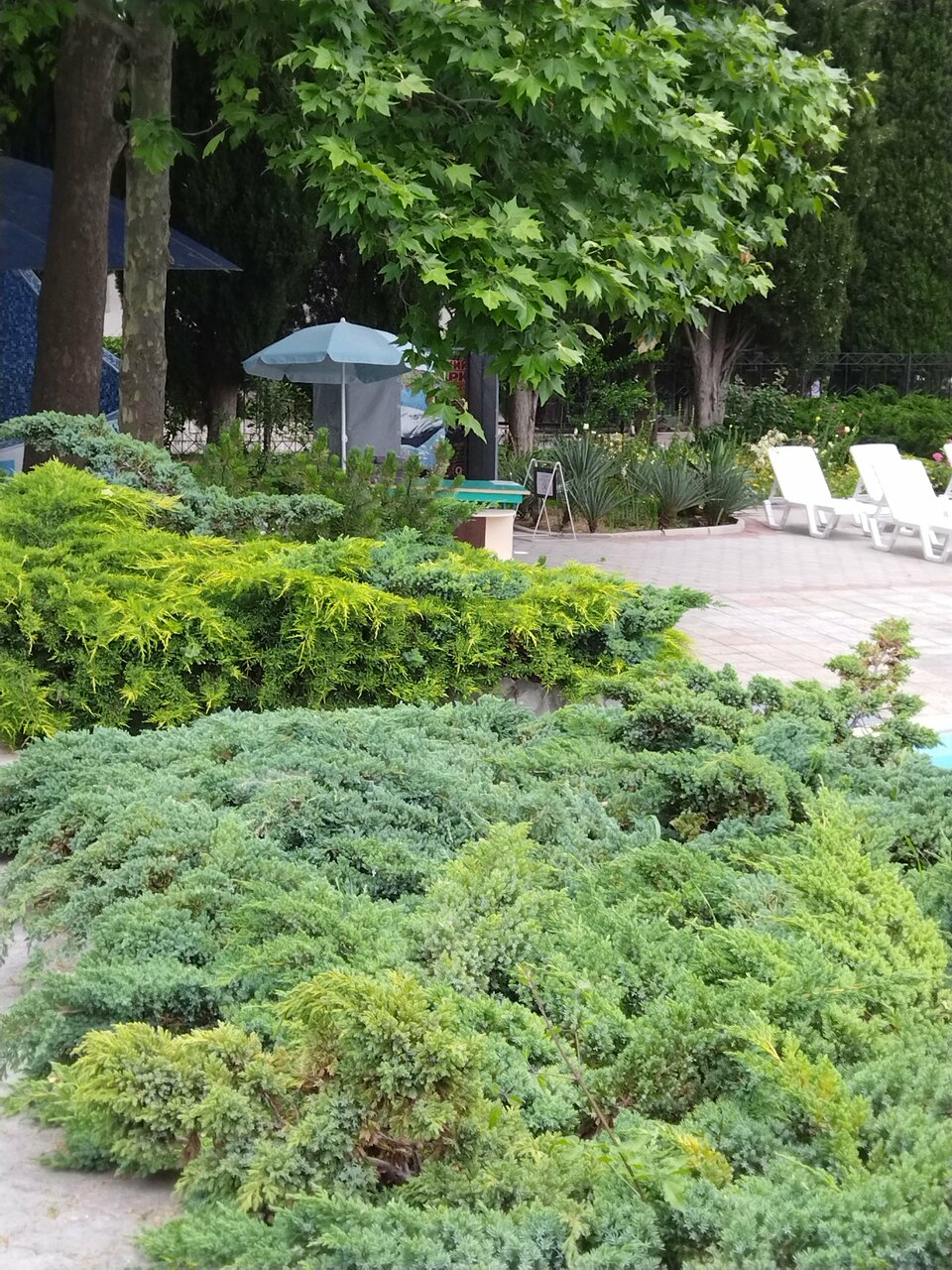 Санаторий Славутич Алушта-233