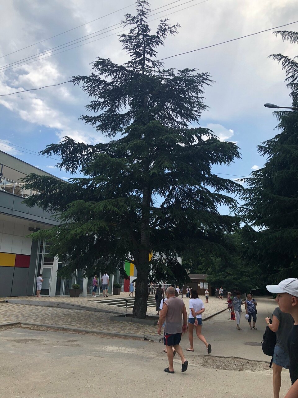 Санаторий Славутич Алушта-252