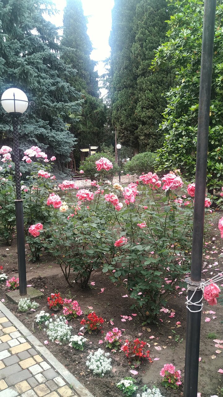 Санаторий Славутич Алушта-227