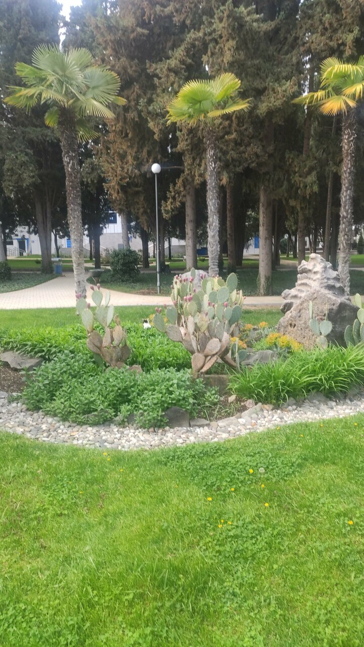 Санаторий Славутич Алушта-195