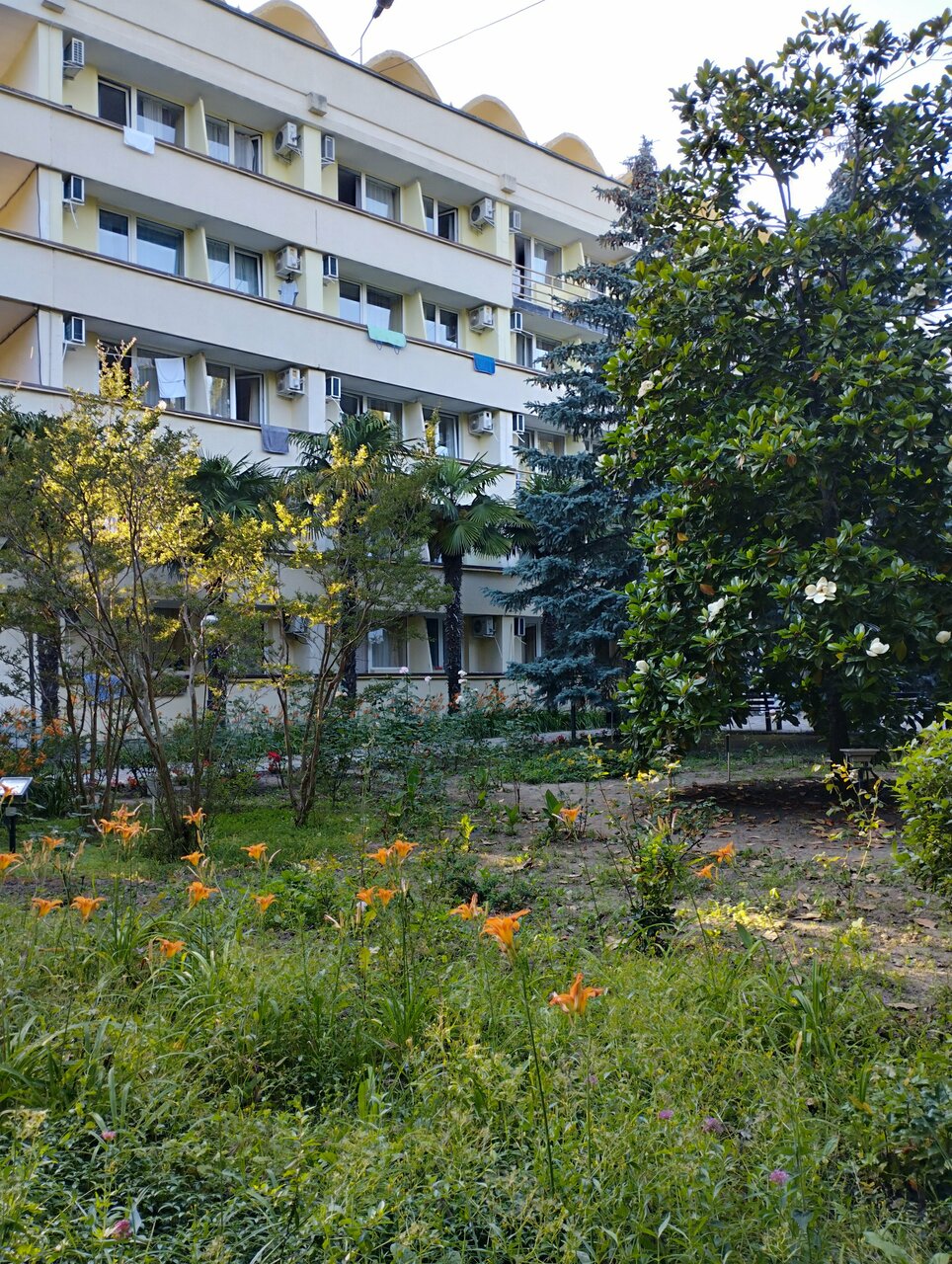 Санаторий Славутич Алушта-230