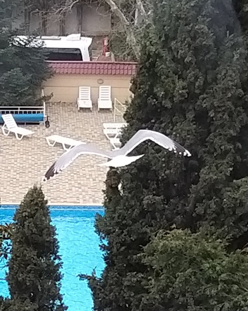 Санаторий Славутич Алушта-80