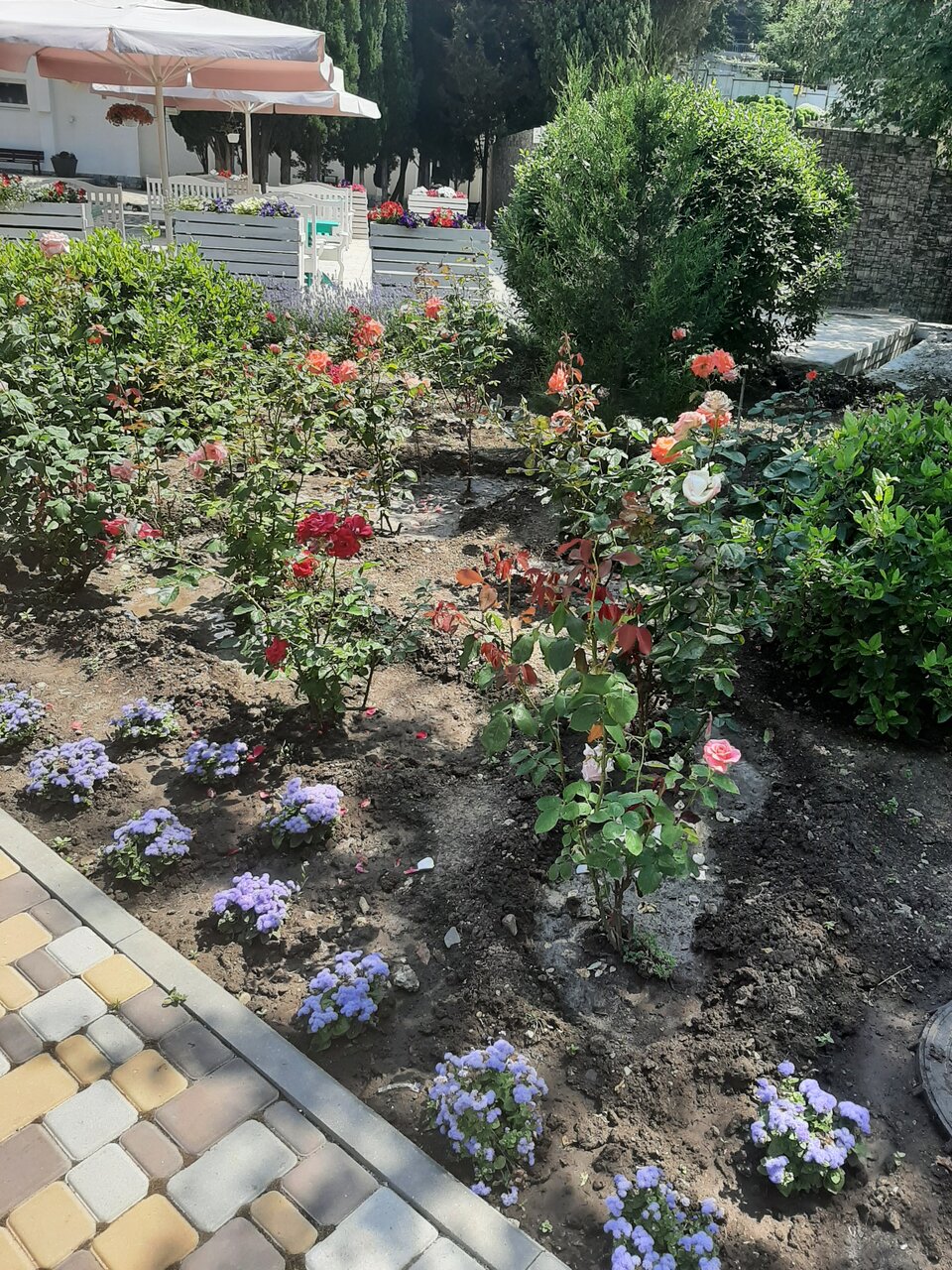 Санаторий Славутич Алушта-69