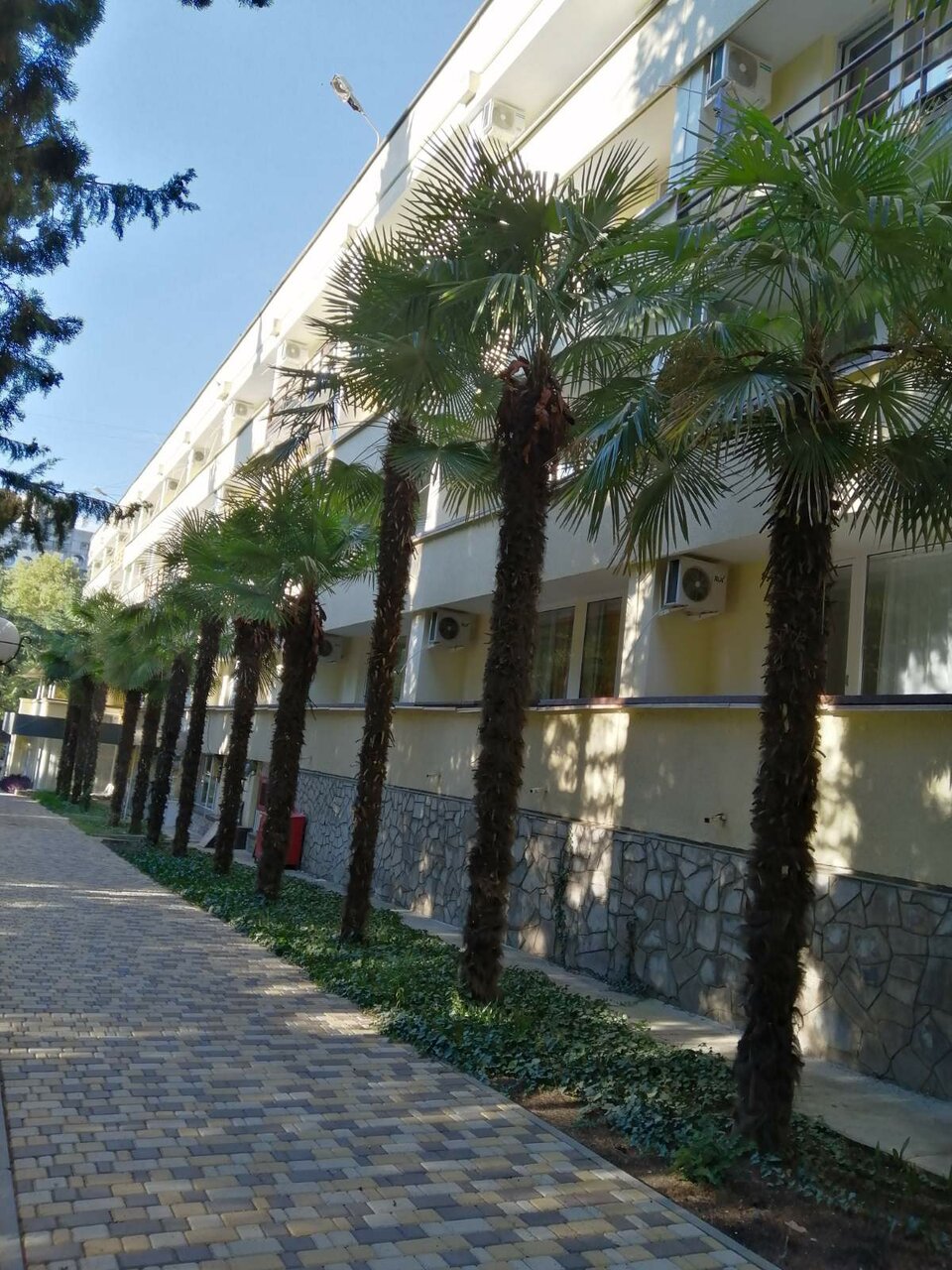 Санаторий Славутич Алушта-127