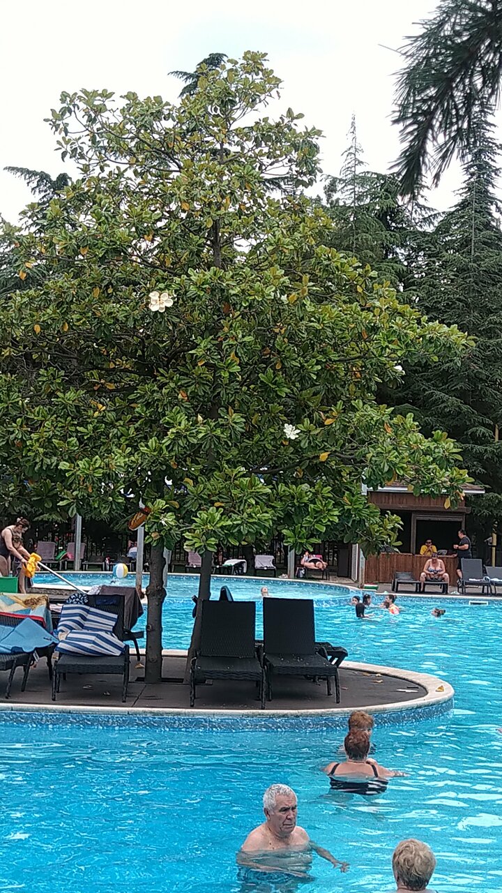 Санаторий Славутич Алушта-220