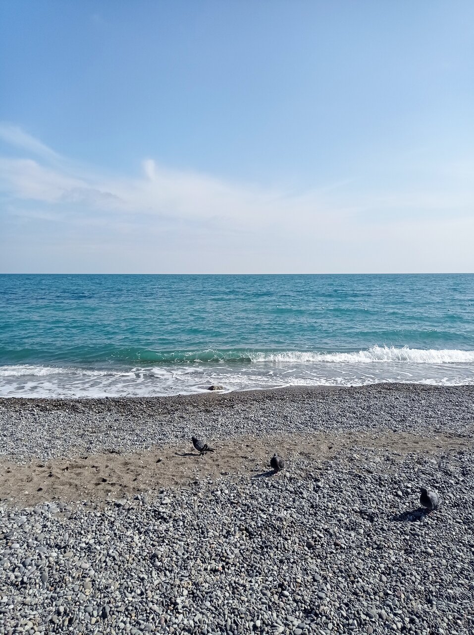 Санаторий Славутич Алушта-159