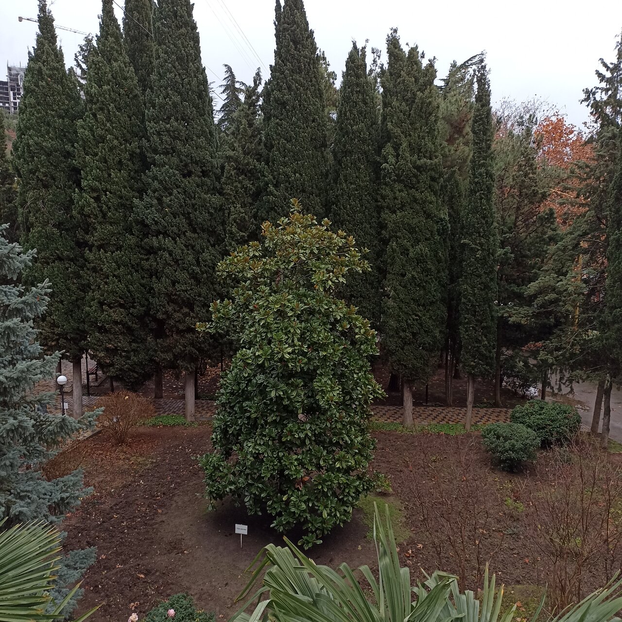 Санаторий Славутич Алушта-180