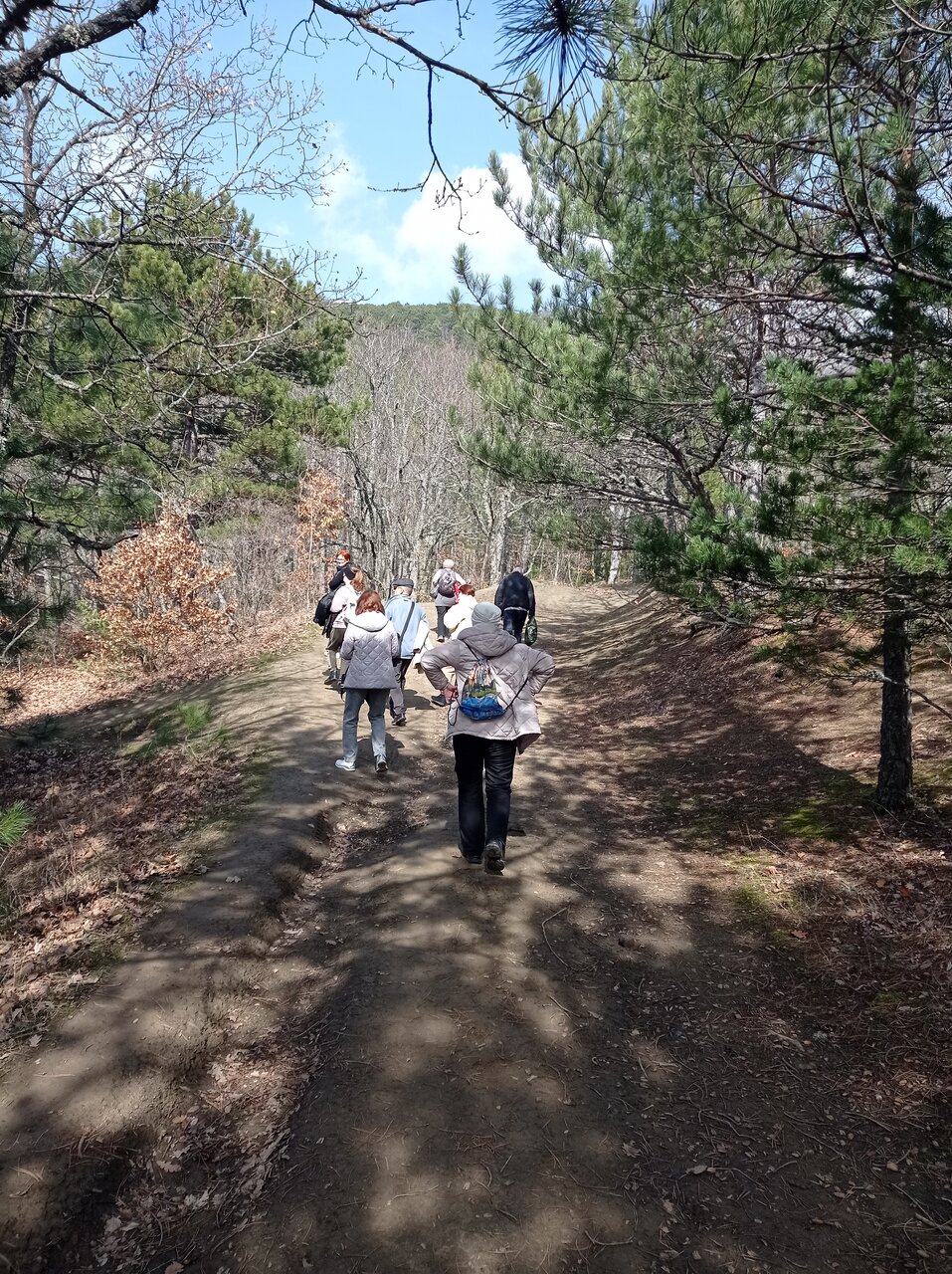 Санаторий Славутич Алушта-169