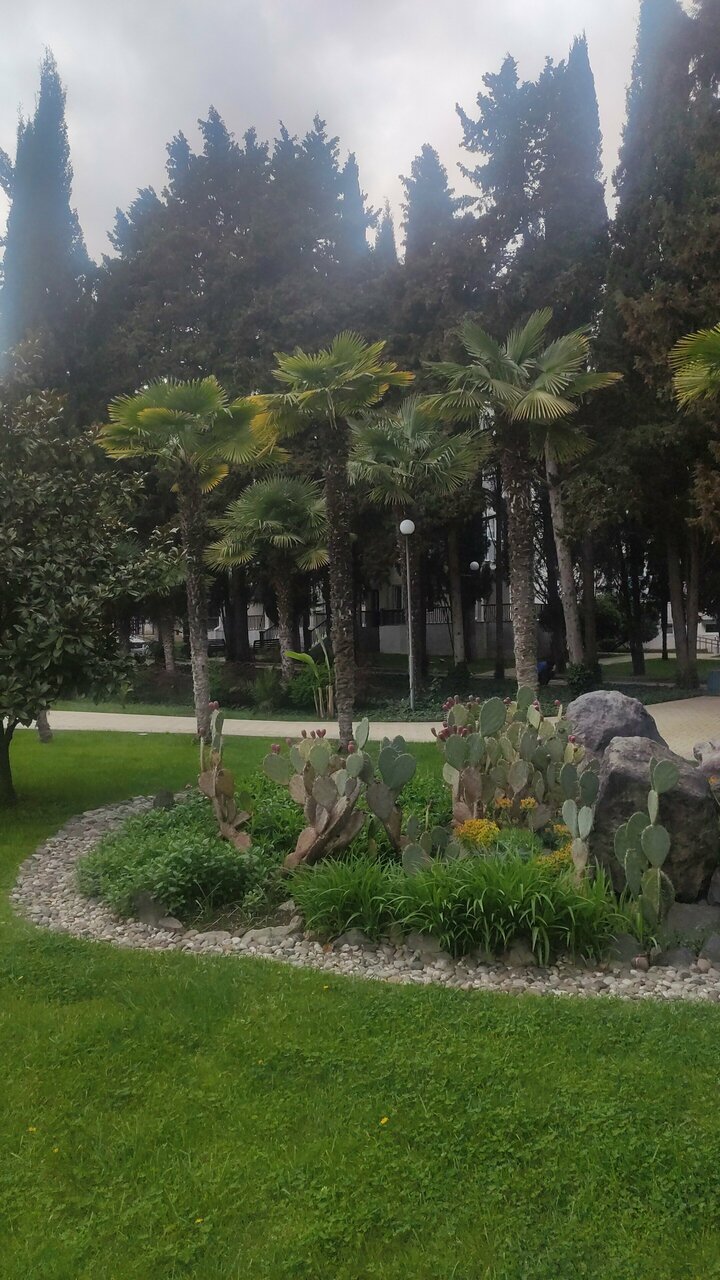 Санаторий Славутич Алушта-193