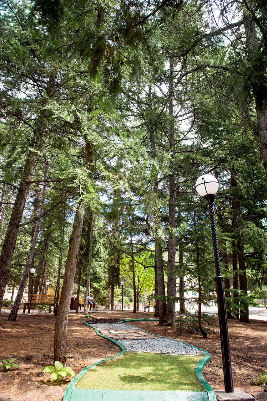 Санаторий Славутич Алушта-31