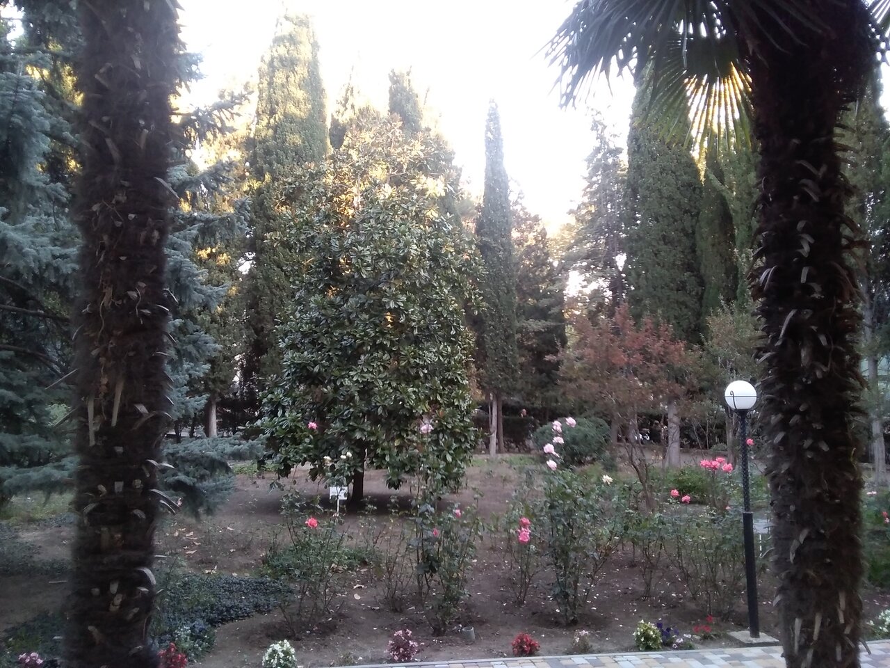 Санаторий Славутич Алушта-109