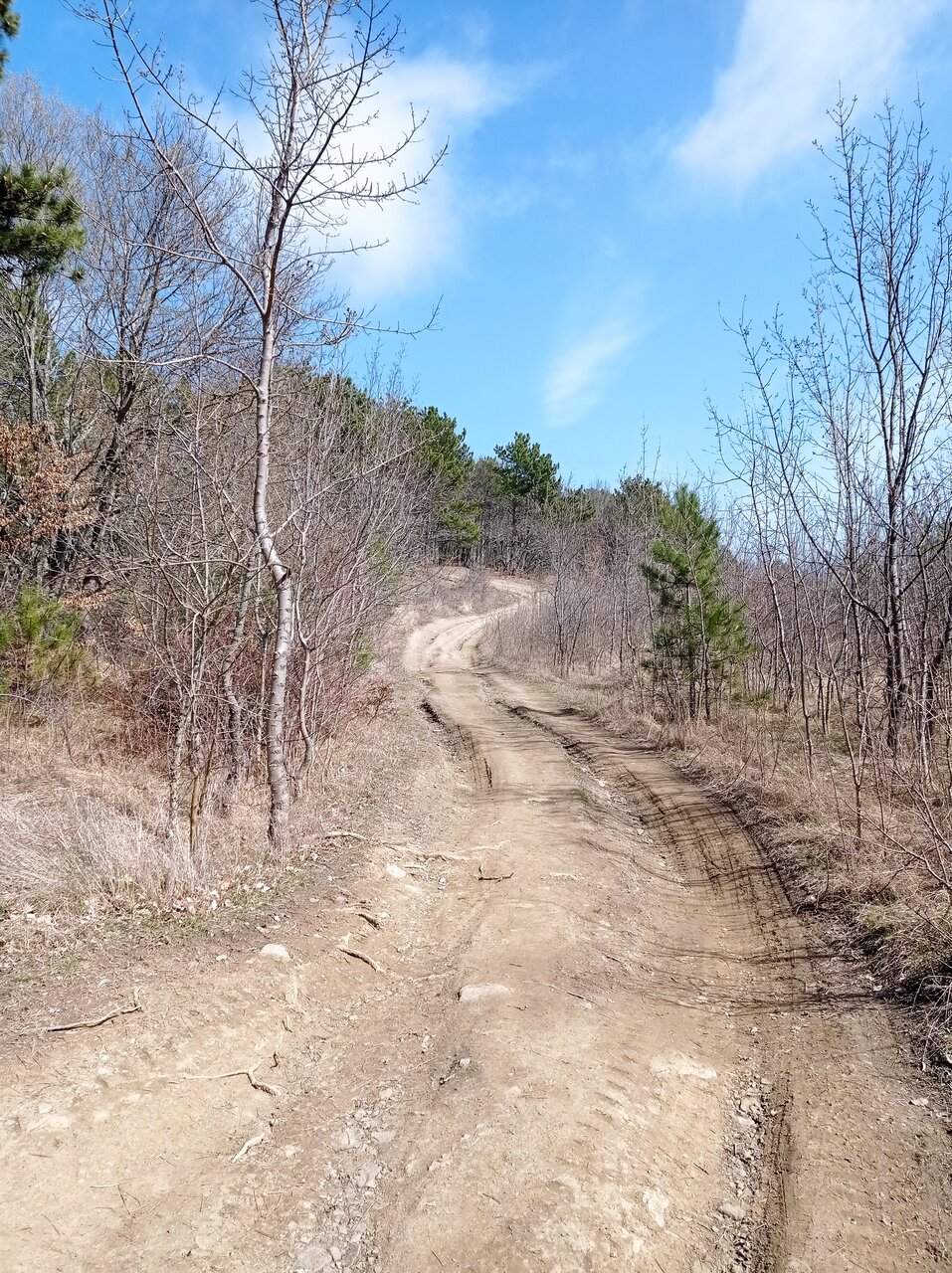 Санаторий Славутич Алушта-164