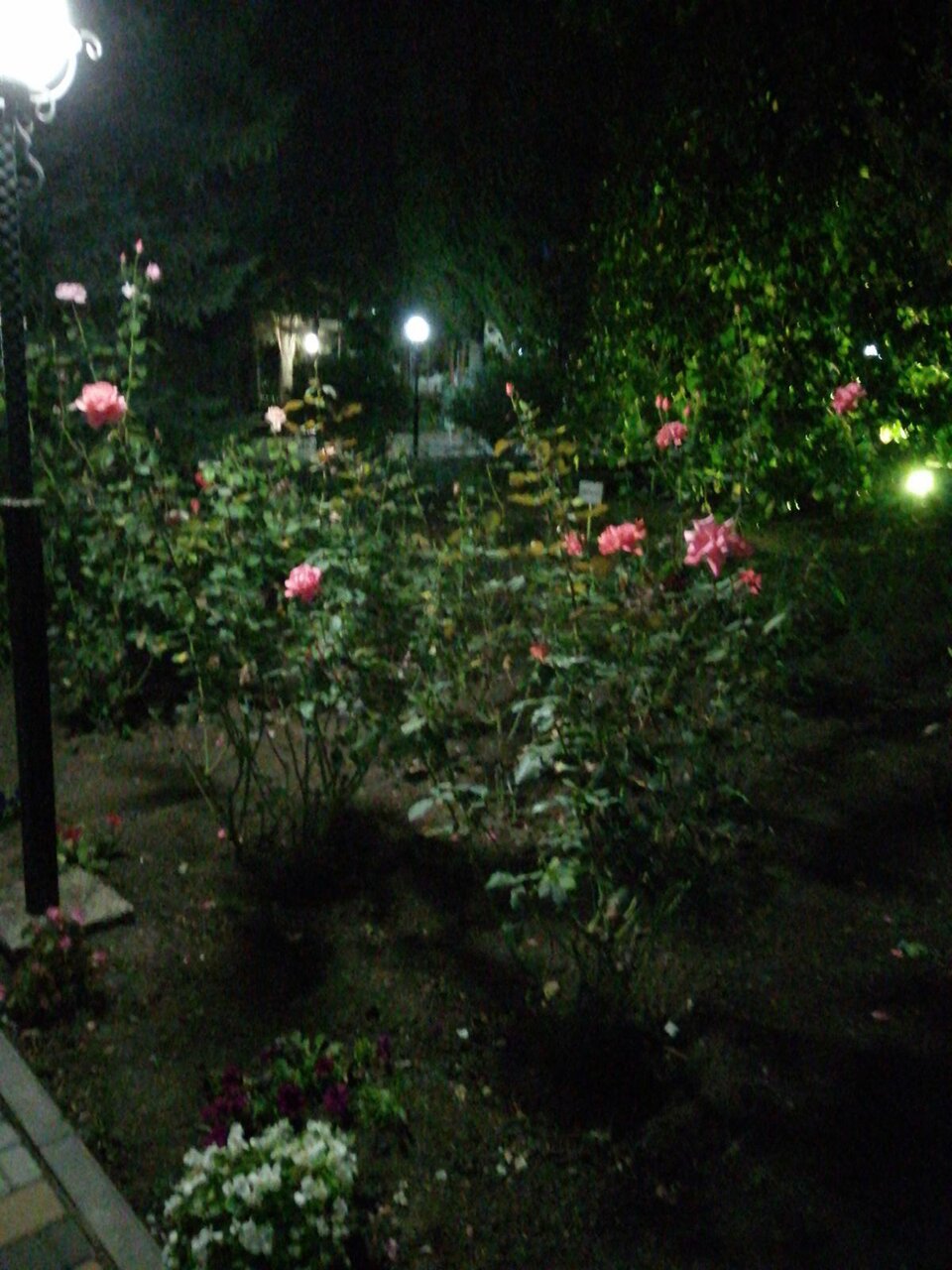 Санаторий Славутич Алушта-118