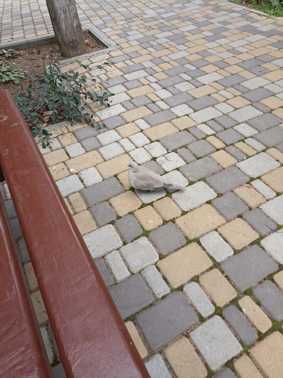 Санаторий Славутич Алушта-173