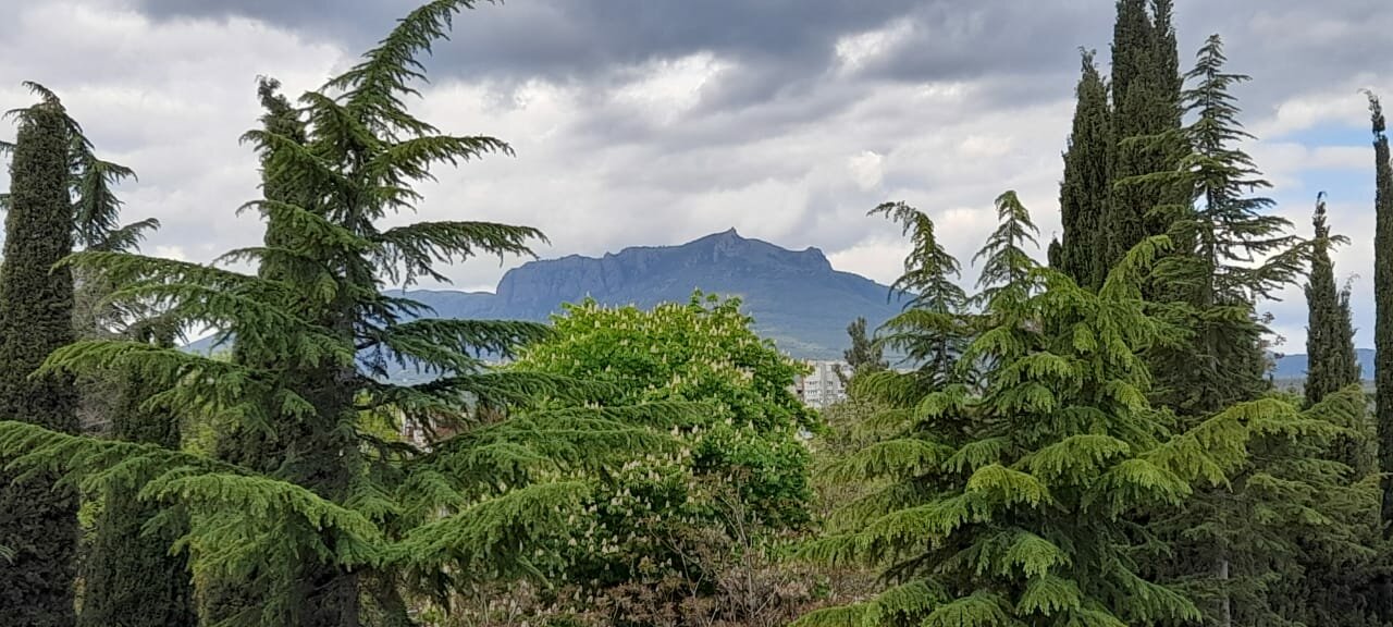 Санаторий Славутич Алушта-207