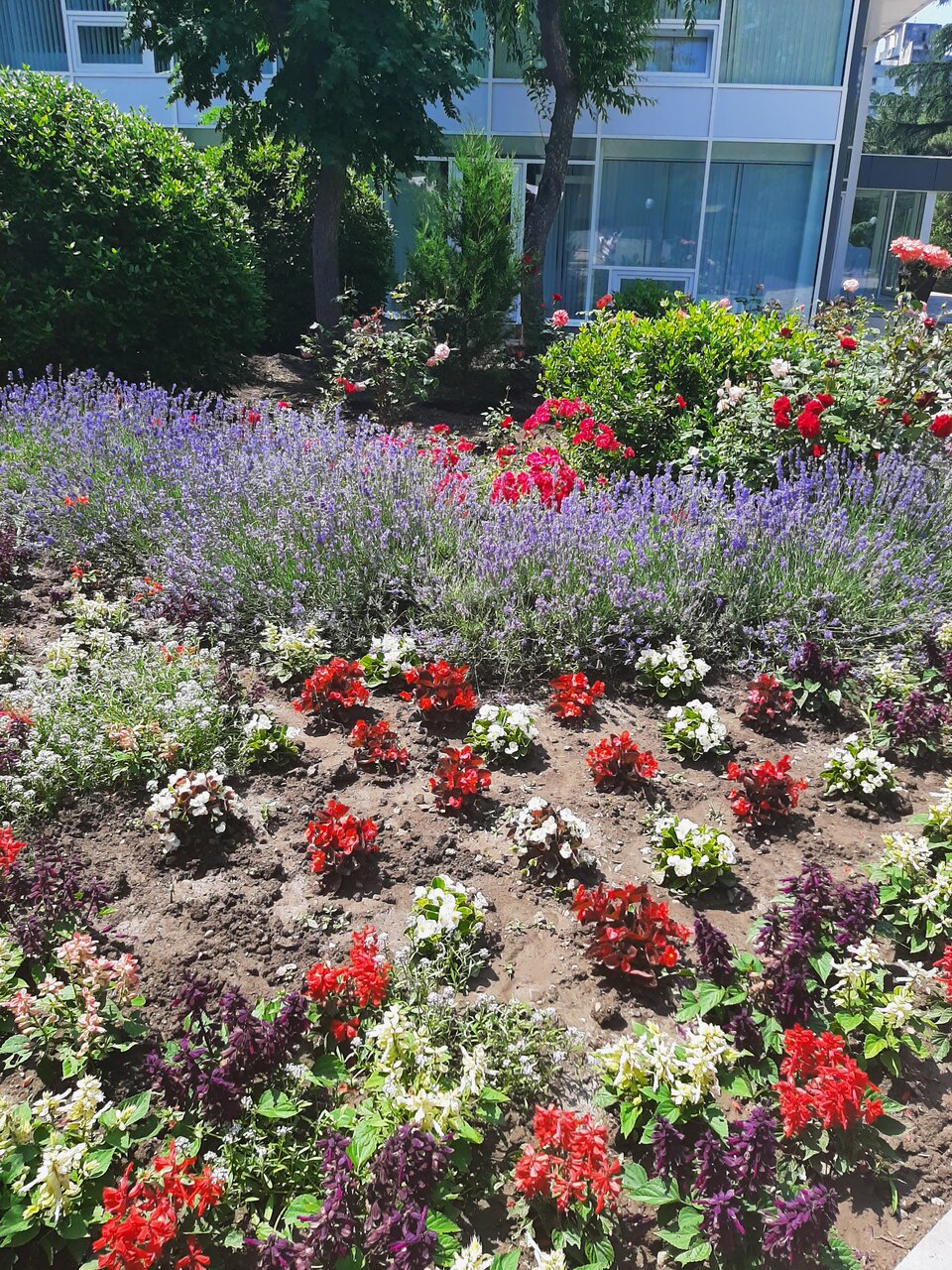 Санаторий Славутич Алушта-67