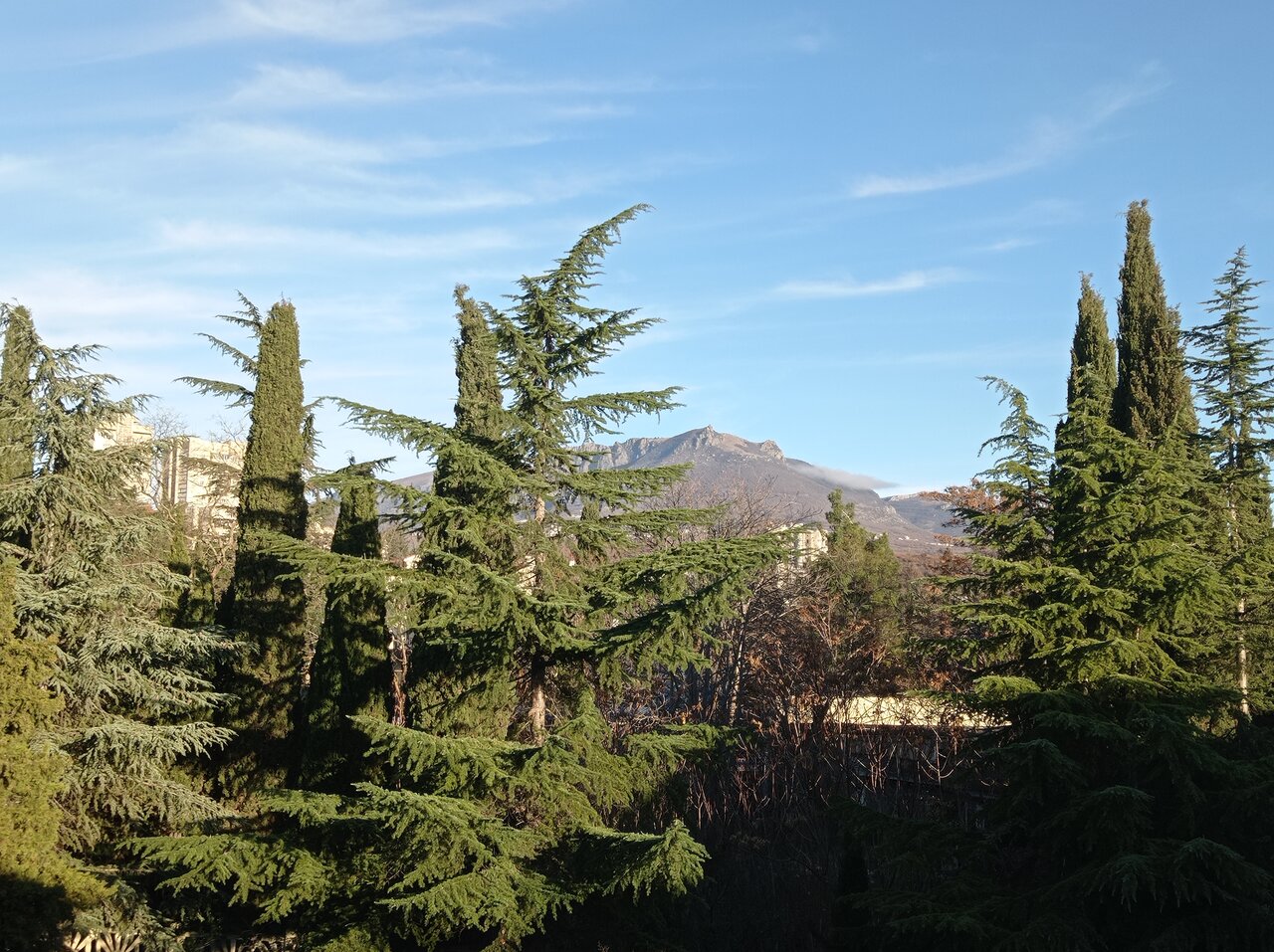 Санаторий Славутич Алушта-131