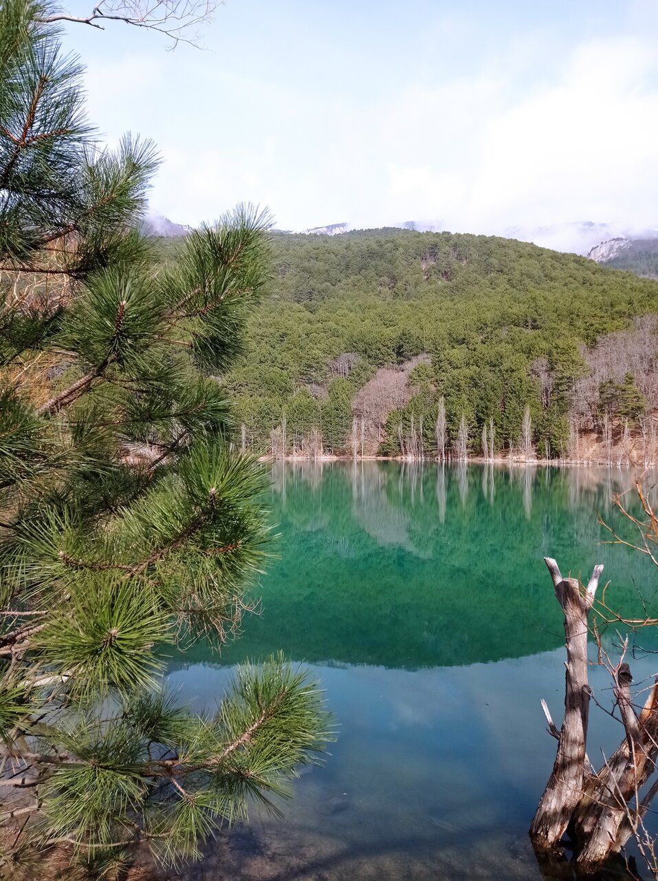 Санаторий Славутич Алушта-176