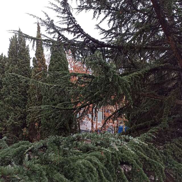 Санаторий Славутич Алушта-182