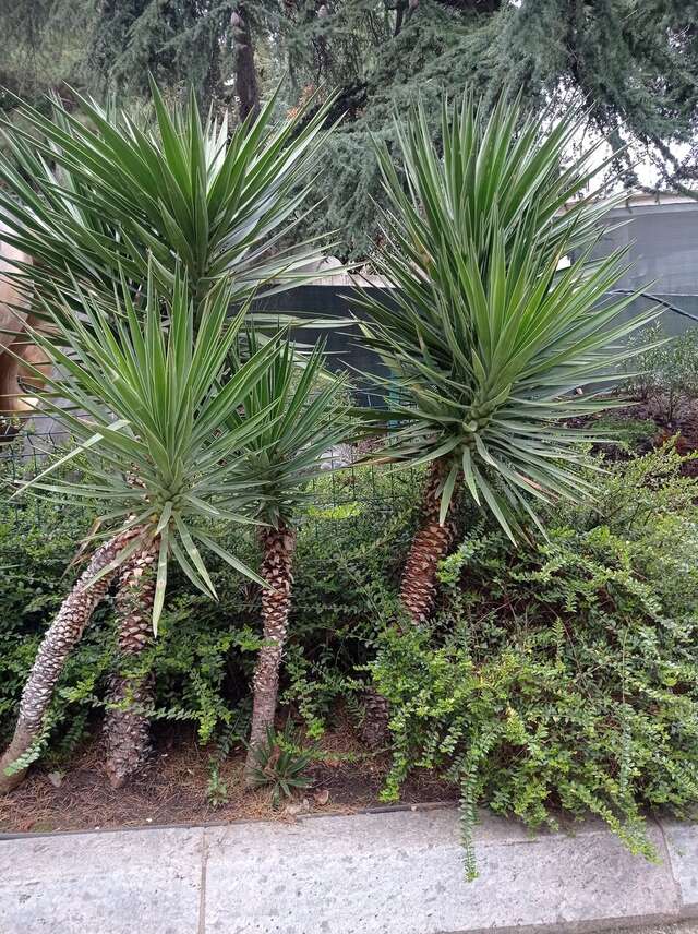 Санаторий Славутич Алушта-169