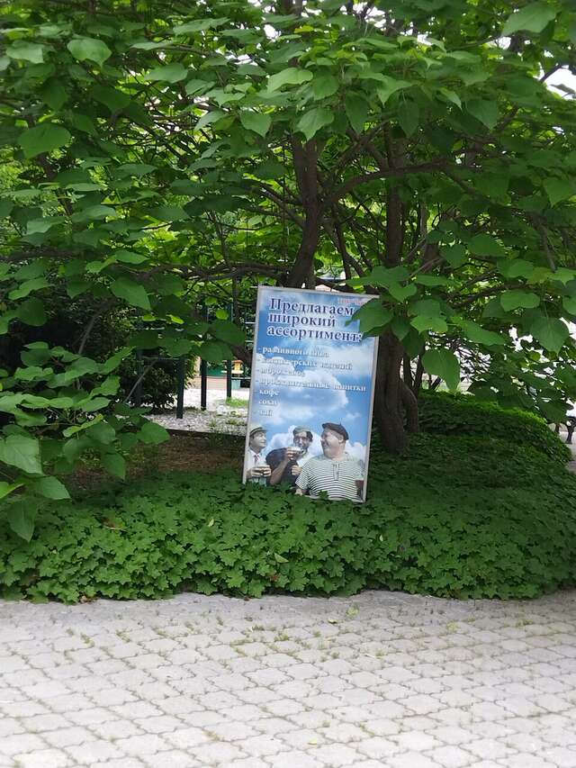 Санаторий Славутич Алушта-231