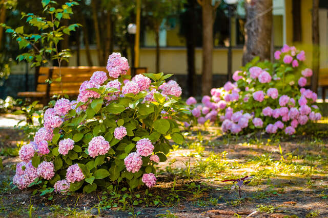 Санаторий Славутич Алушта-31