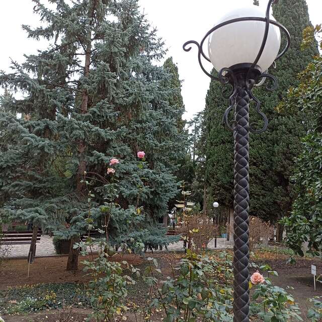 Санаторий Славутич Алушта-184