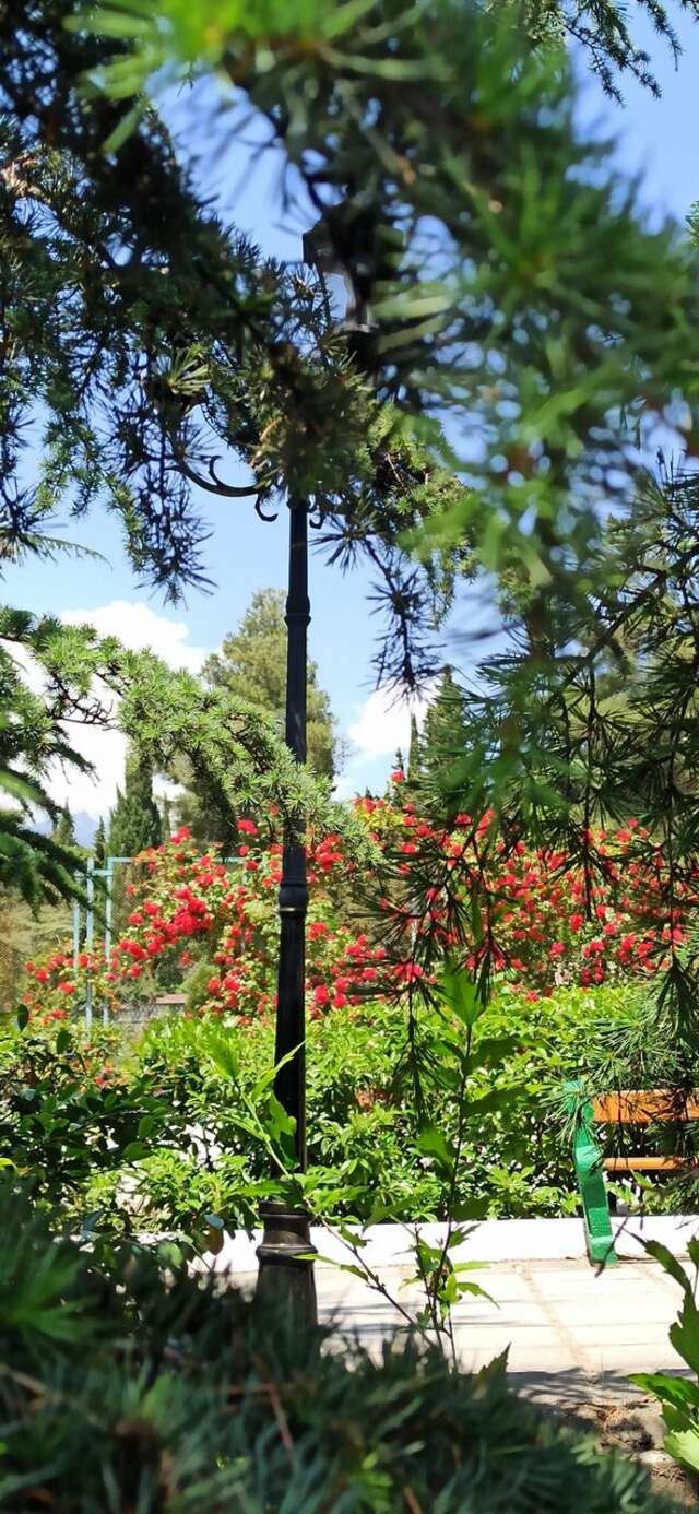 Санаторий Славутич Алушта-214