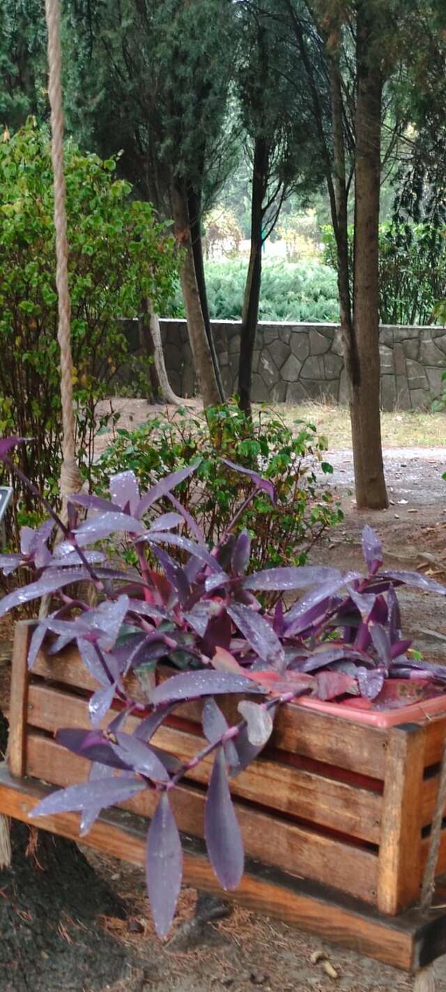 Санаторий Славутич Алушта-113