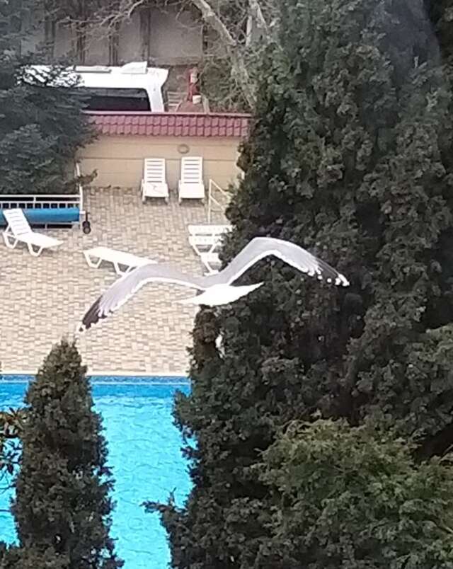 Санаторий Славутич Алушта-79