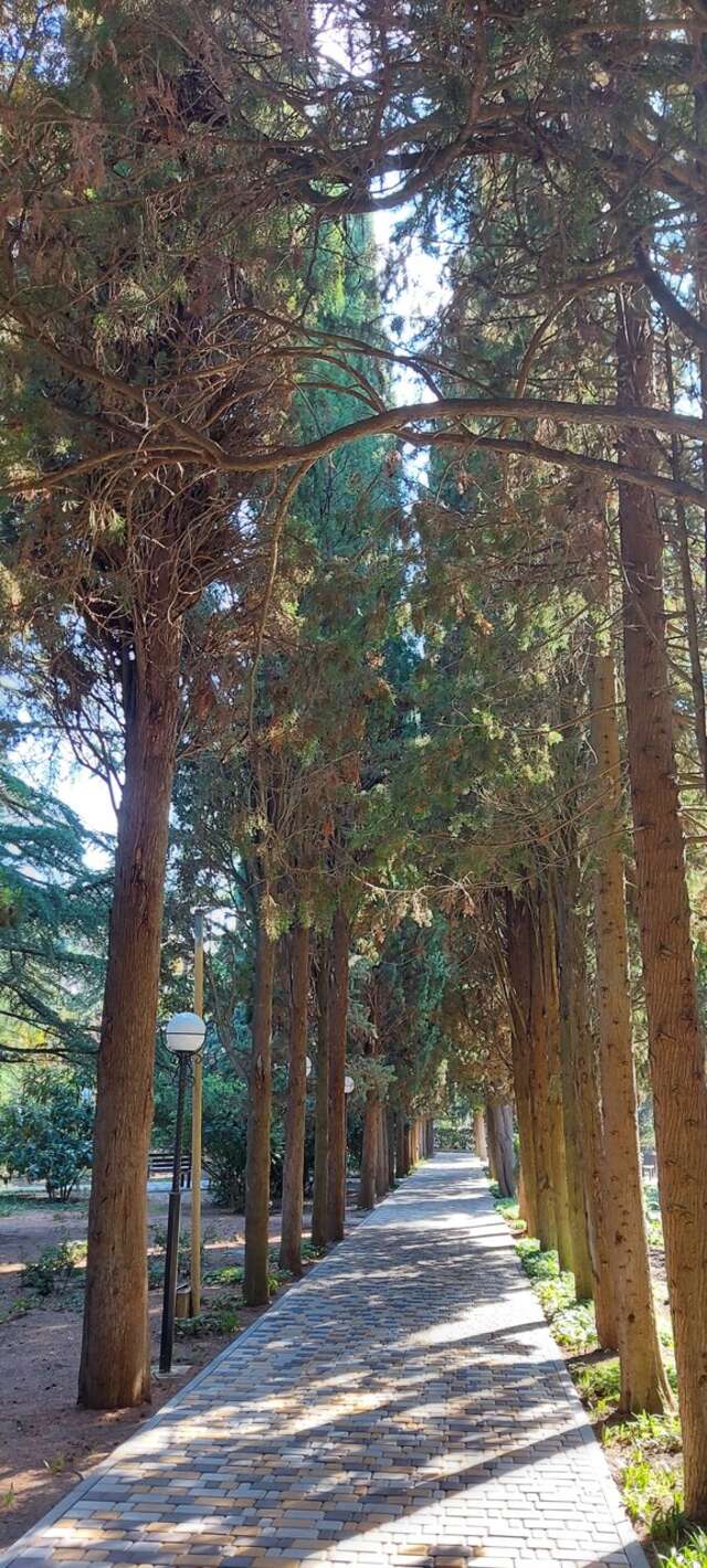 Санаторий Славутич Алушта-105