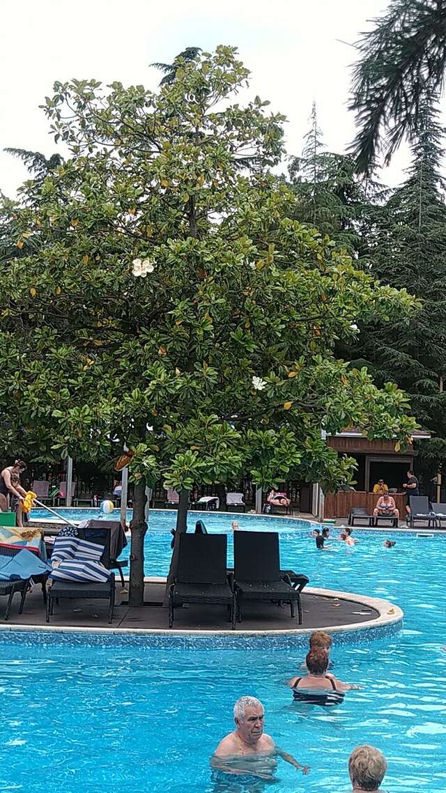 Санаторий Славутич Алушта-219