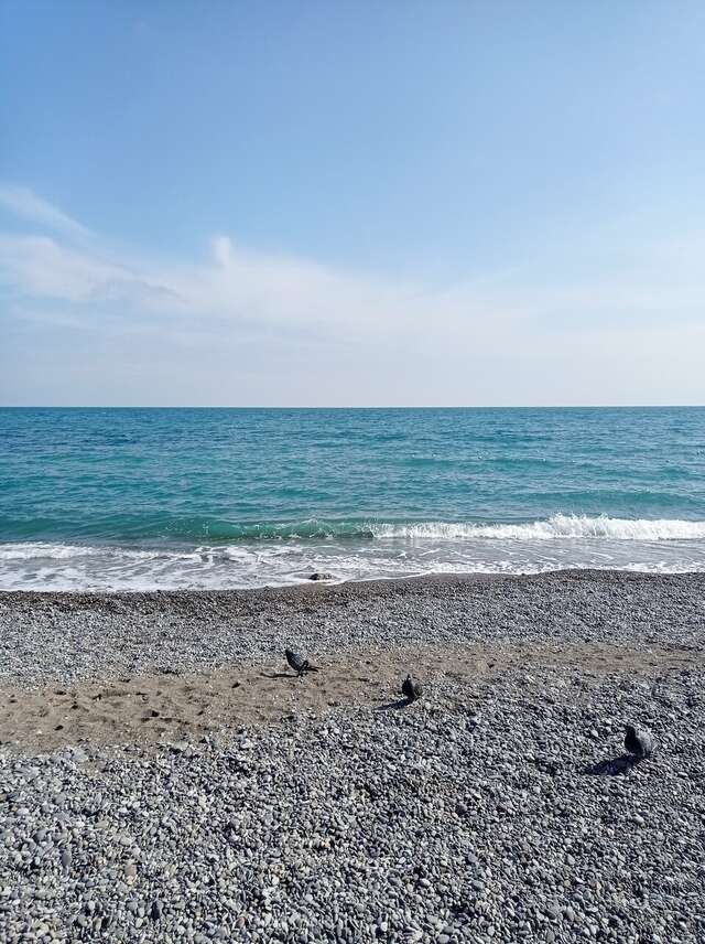 Санаторий Славутич Алушта-158