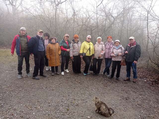 Санаторий Славутич Алушта-160