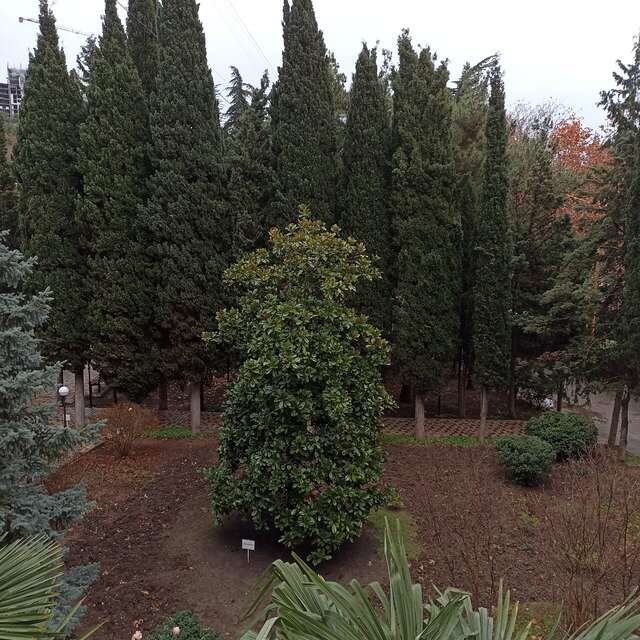 Санаторий Славутич Алушта-179