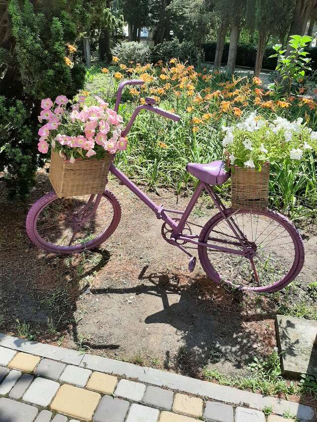 Санаторий Славутич Алушта-67