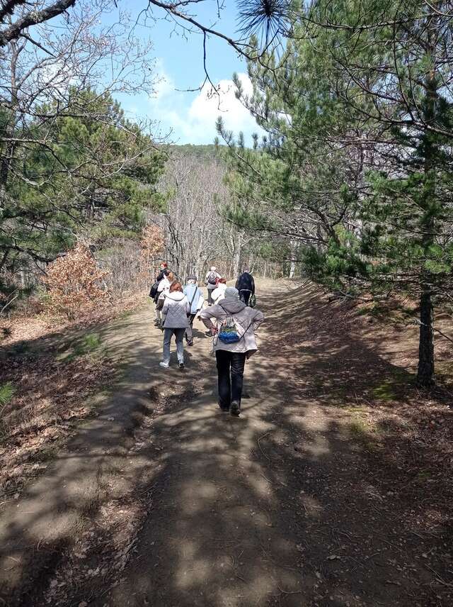 Санаторий Славутич Алушта-168