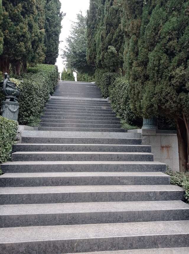 Санаторий Славутич Алушта-170