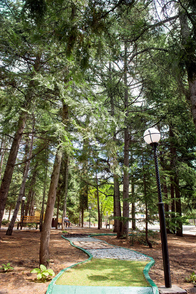 Санаторий Славутич Алушта-30