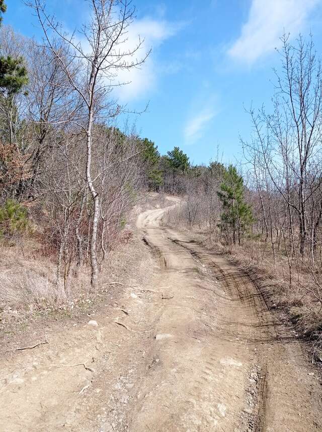 Санаторий Славутич Алушта-163