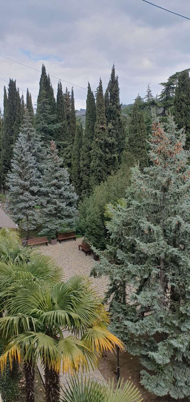 Санаторий Славутич Алушта-186