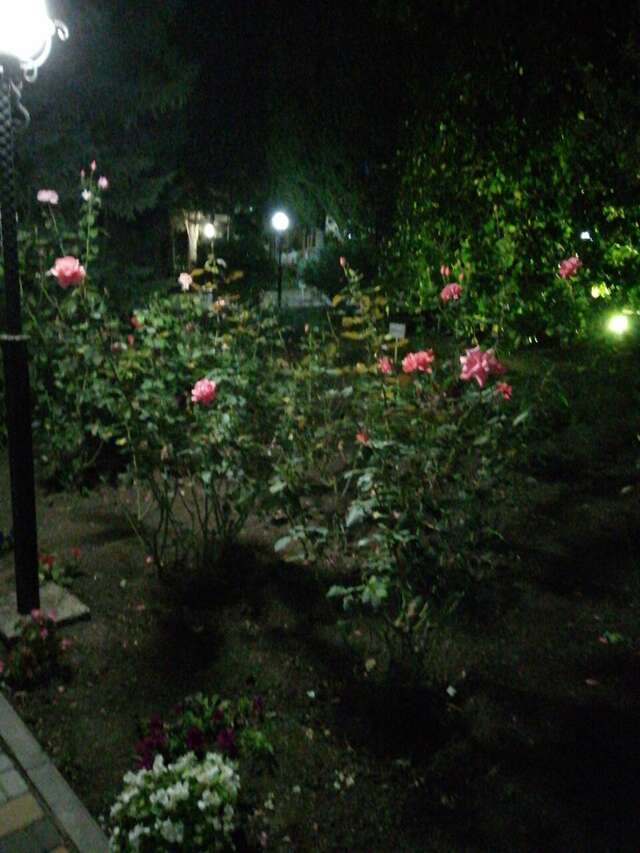 Санаторий Славутич Алушта-117