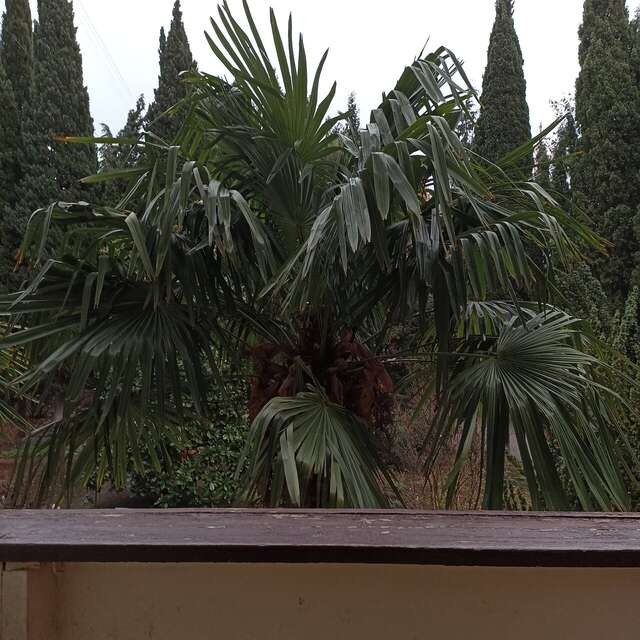 Санаторий Славутич Алушта-180