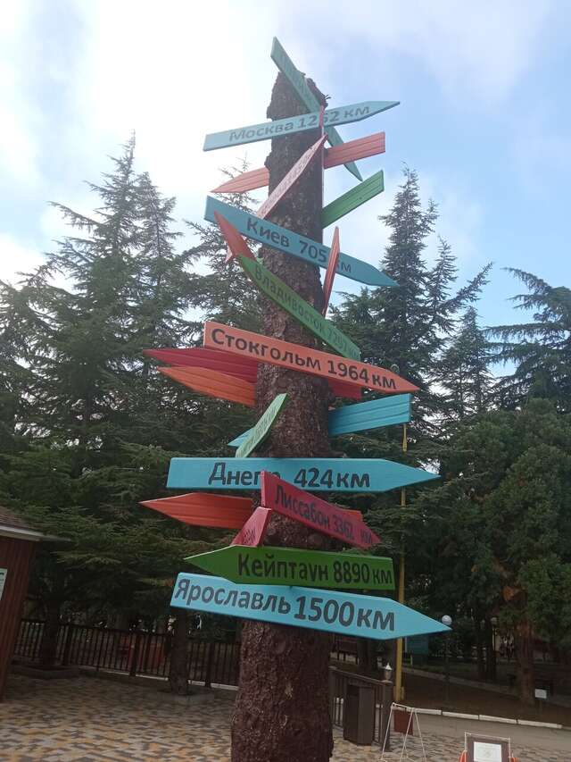 Санаторий Славутич Алушта-115