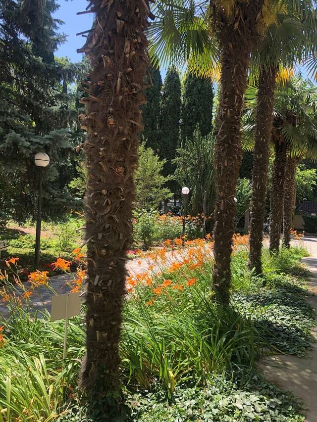 Санаторий Славутич Алушта-250